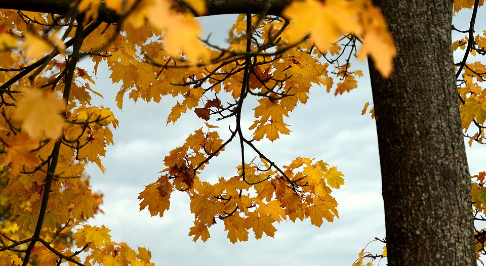 fall hvac